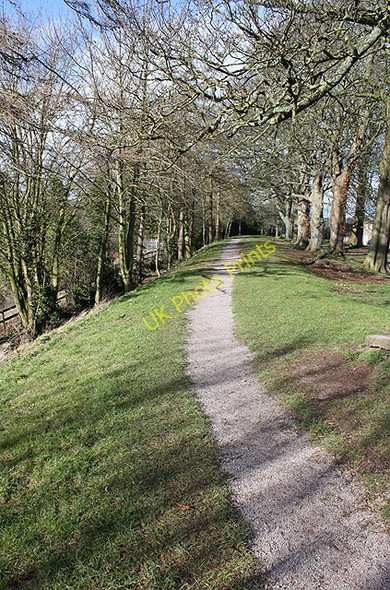 Photo 6"x4" Path along The Green, Newnham Ruddle c2010