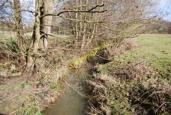 Photo 6"x4" The Darwell Stream Mountfield\/TQ7320 c2009