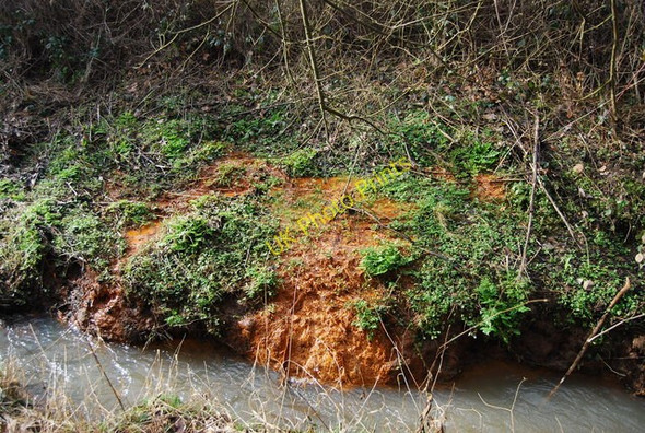 Photo 6"x4" A Chalybeate Spring, Darwell Stream Robertsbridge c2009