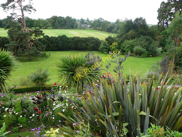 Photo 6"x4" Berkeley Castle, garden Ham\/ST6898 c2009
