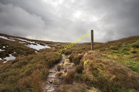 Photo 6"x4" Track To Fiendsdale Head Bleasdale c2010