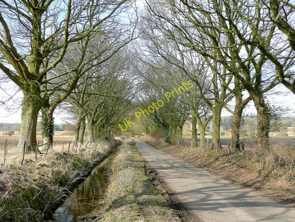 Photo 6"x4" Hampshire Lane Breamore c2010