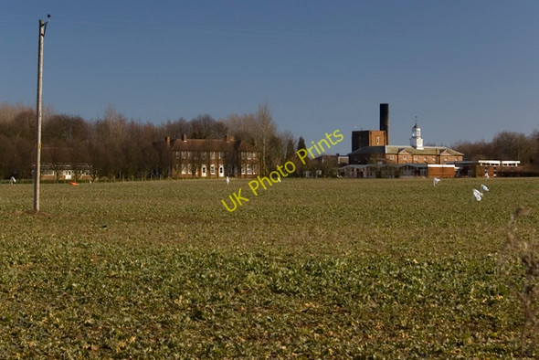 Photo 6"x4" North of Winestead Lane Winestead c2010