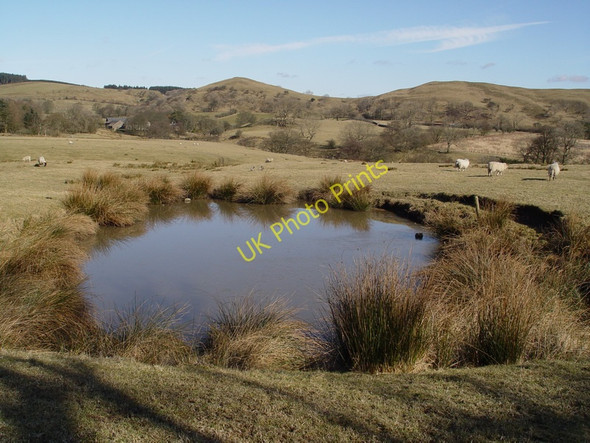 Photo 6"x4" Pond Near Dinkling Green Fair Oak\/SD6446 c2010