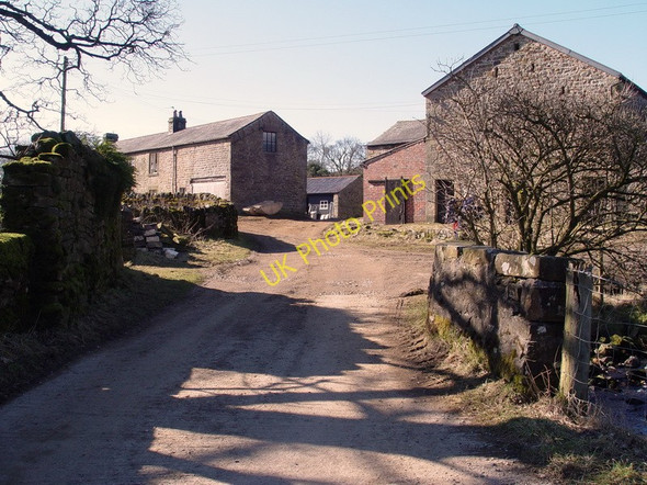 Photo 6"x4" Dinkling Green Farm Fair Oak\/SD6446 c2010
