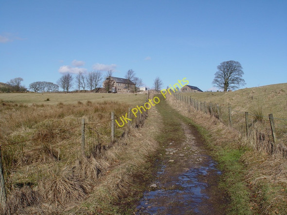 Photo 6"x4" Old Road To Greystonely Fair Oak\/SD6446 c2010