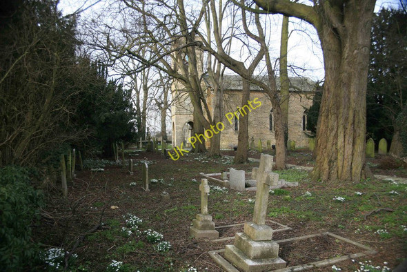 Photo 6"x4" Snowdrops in the Churchyard Fillingham c2010