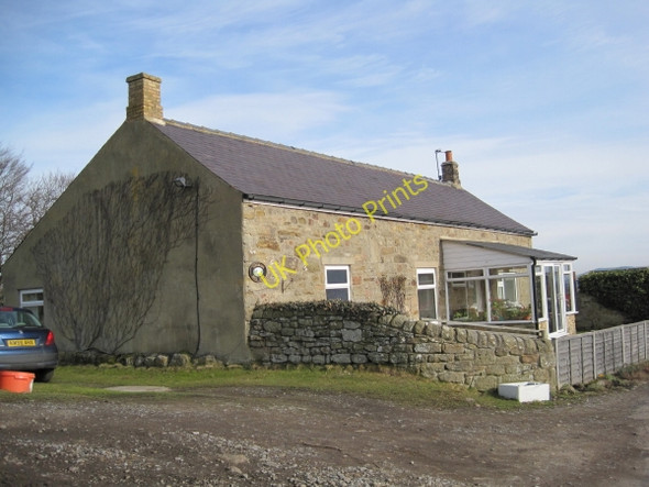 Photo 6"x4" Newbiggin Hill Cottage (Bastle) Diptonmill c2010