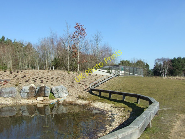 Photo 6"x4" Wildlife Pond and Reptilian Enclosure, Avon Heath Country Park Grange Estate c2010