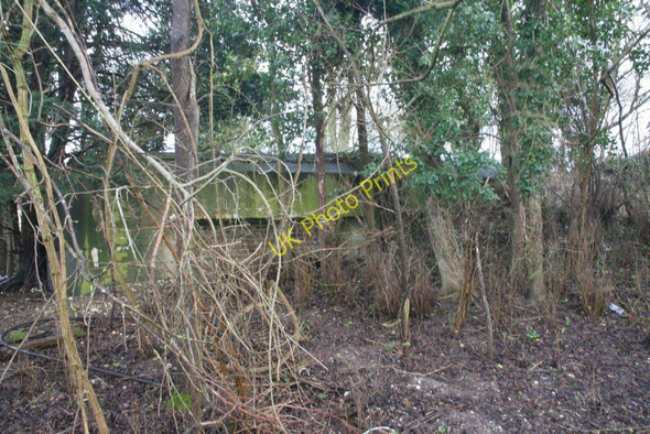 Photo 6"x4" Hidden in the copse 2 Little Heath\/SU6573 c2010