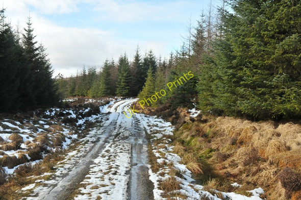 Photo 6"x4" Forest track near Loch Crann Abhainn Dubh\/NH0757 c2010 P1