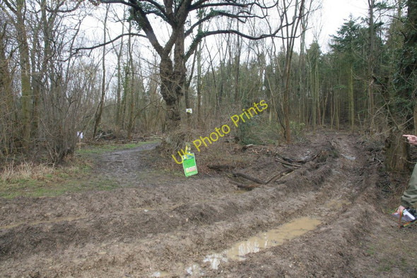 Photo 6"x4" Churned up tracks Little Heath\/SU6573 c2010