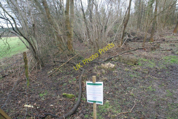 Photo 6"x4" Notice in the wood Little Heath\/SU6573 c2010