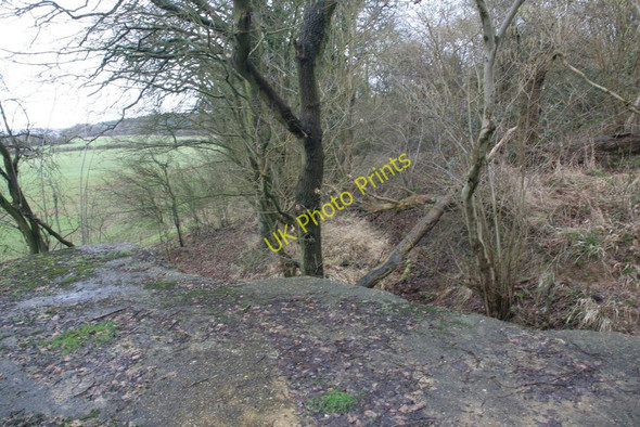 Photo 6"x4" Looking from the entrance Little Heath\/SU6573 c2010