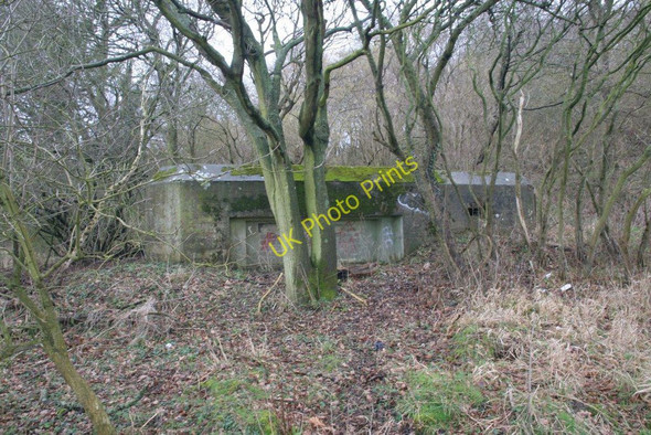 Photo 6"x4" Pillbox in Sulham wood Little Heath\/SU6573 c2010