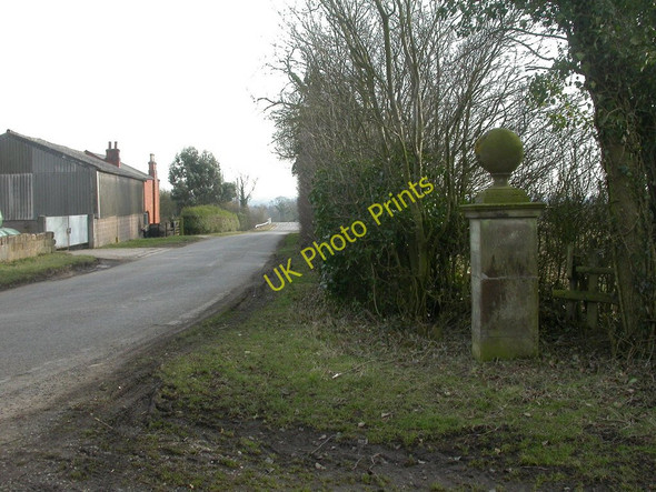 Photo 6"x4" Stanford, milestone (a) Clay Coton c2010