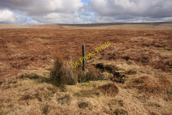 Photo 6"x4" Isolated post on Amicombe Hill Amicombe Brook c2010