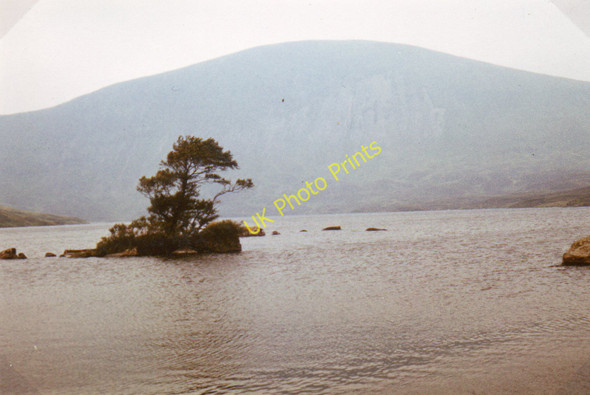 Photo 6"x4" Loch Skeen Loch Skeen c1980