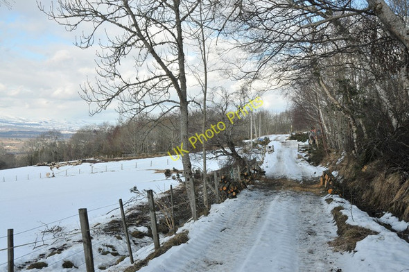 Photo 6"x4" Farm road near Rebeg Newtonhill\/NH5743 c2010