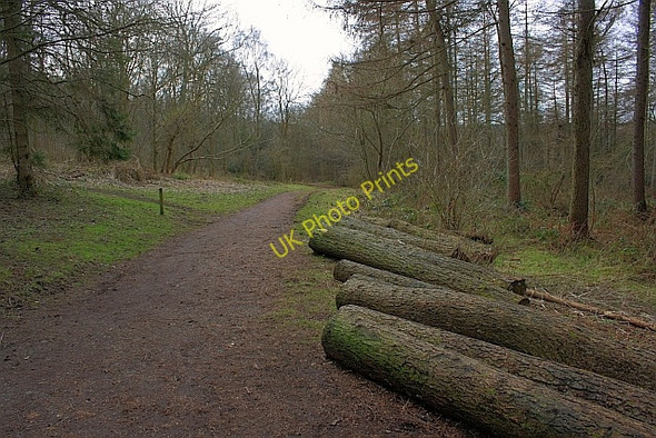 Photo 6"x4" Middle Road Suffield\/SE9890 c2010