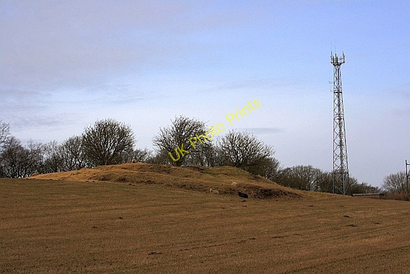 Photo 6"x4" Tumulus, Row Brow Falsgrave c2010