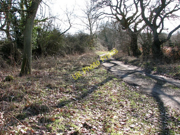 Photo 6"x4" Long shadows on Craven Lane Tottenhill c2010