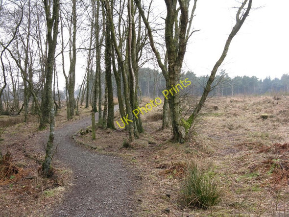 Photo 6"x4" Portmoak Moss Kinnesswood c2010