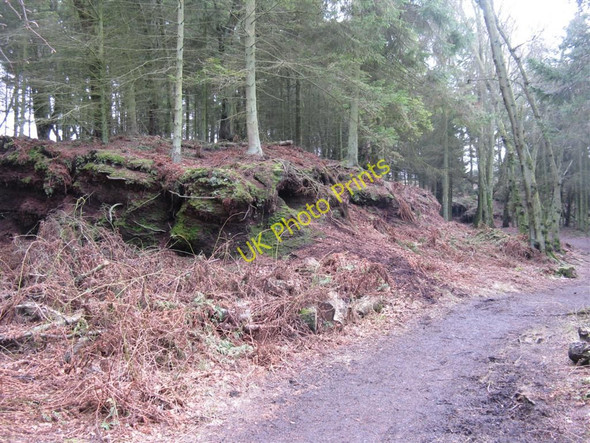 Photo 6"x4" Peat bank at Portmoak Moss Kinnesswood c2010