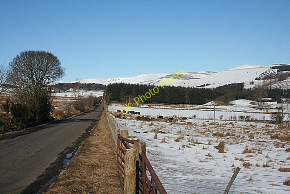 Photo 6"x4" Lower Glen Clova Dykehead\/NO3860 c2010