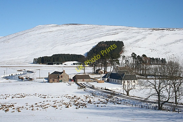 Photo 6"x4" Braeminzion and Whitehillocks Rottal c2010