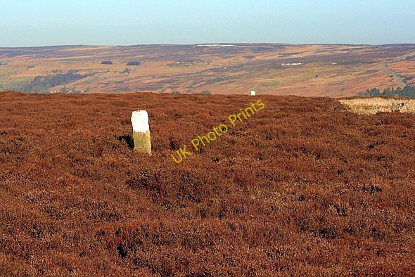 Photo 6"x4" Boundary Stones, Castleton Rigg Westerdale\/NZ6605 c2010