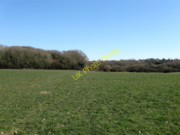 Photo 6"x4" Calves Lodge Mead Cooden c2010