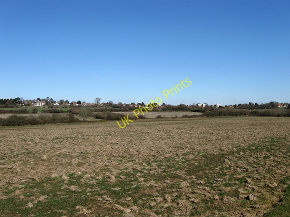 Photo 6"x4" North Barkhams Cooden c2010