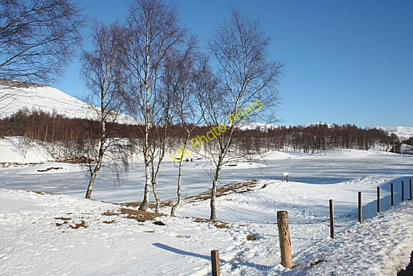 Photo 6"x4" Loch Heath Clova\/NO3273 c2010 P1
