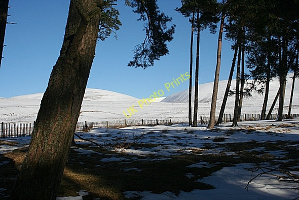 Photo 6"x4" The View through the Woods Wester Eggie c2010