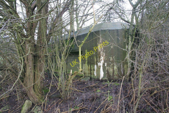 Photo 6"x4" Loophole behind the tree Malpas\/SU6372 c2010