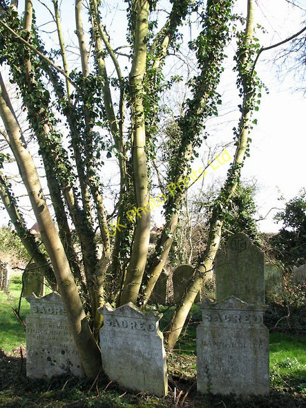 Photo 6"x4" St Mary's church - churchyard Antingham c2008