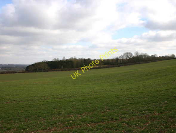 Photo 6"x4" Copdock Hill from near Daisy Hill Farm Wasperton c2010