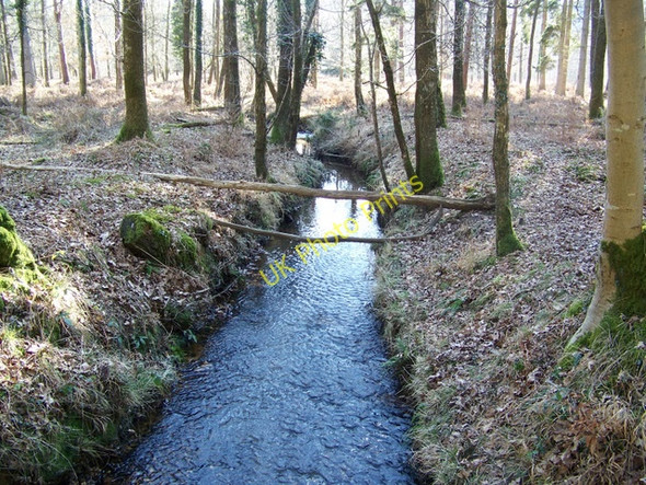 Photo 6"x4" Stream, Holmhill Inclosure Emery Down c2010
