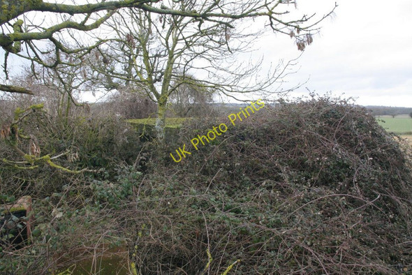 Photo 6"x4" The second one is in that lot Malpas\/SU6372 c2010