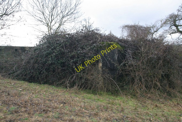 Photo 6"x4" Corner under the brambles Malpas\/SU6372 c2010