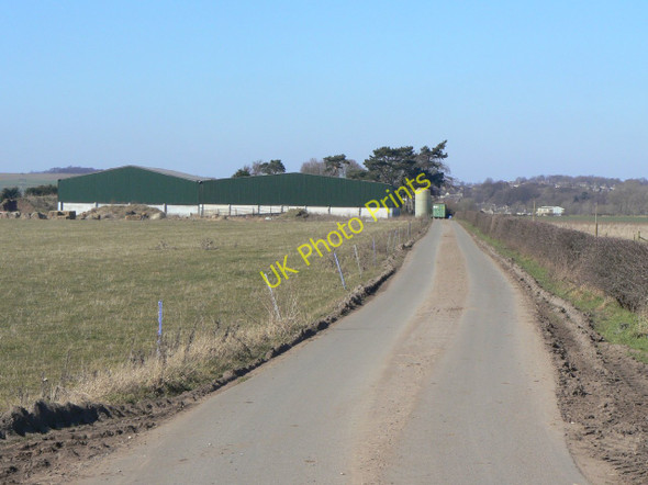 Photo 6"x4" Asher Lane Brook Hill\/SK5633 c2010