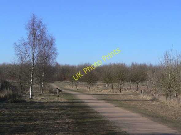 Photo 6"x4" Path in the park Bradmore\/SK5831 c2010