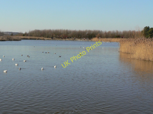 Photo 6"x4" The lake at Rushcliffe Country Park Bradmore\/SK5831 c2010