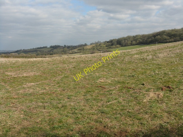 Photo 6"x4" Brimfield Hill Hundre c2010