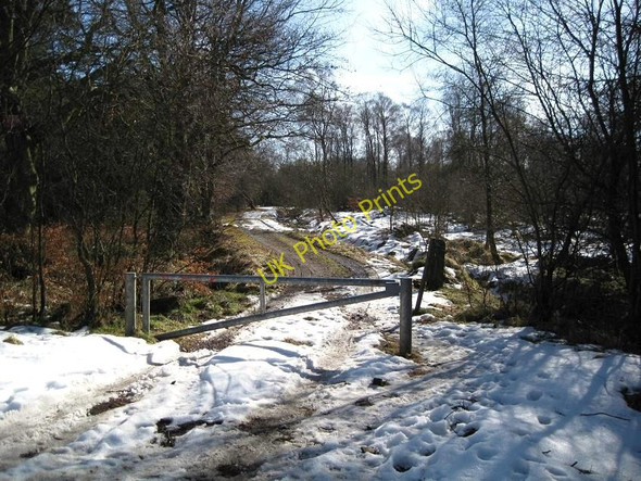 Photo 6"x4" Track to Palacerigg Cumbernauld c2010