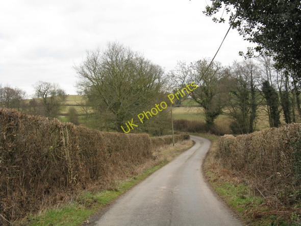 Photo 6"x4" Lane To Tenbury In A Small Valley Greete c2010