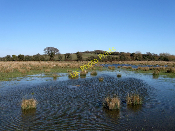 Photo 6"x4" Totts Marsh Hall's Close c2010