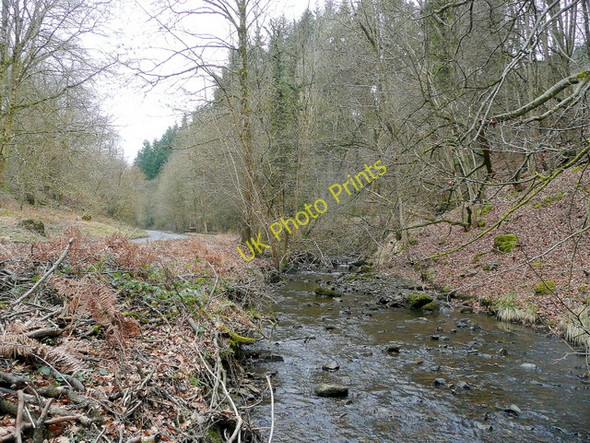 Photo 6"x4" The Blackpool Brook 2 Yorkley Slade c2010