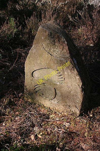 Photo 6"x4" Quarrelwood Waymark Quarrywood c2010